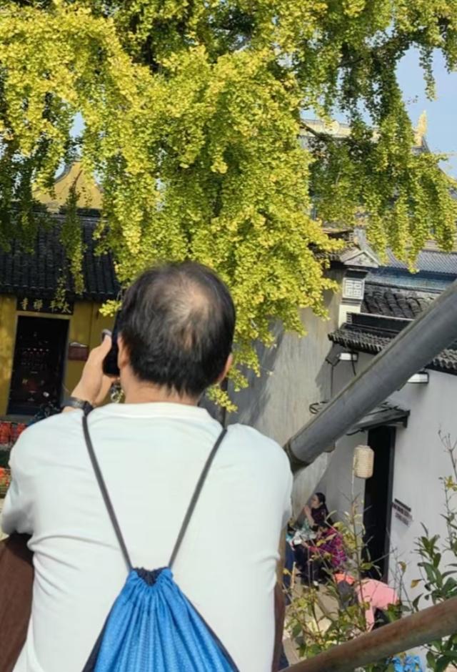 观太平禅寺外银杏有感