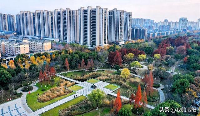 泗阳：城市森林公园换上斑斓冬装 勾勒出一幅冬日生态画卷