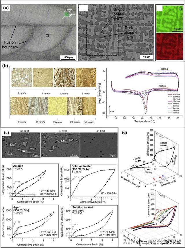 Mater. Sci. Eng. A先进材料激光定向能量沉积（DED-LB）全面综述