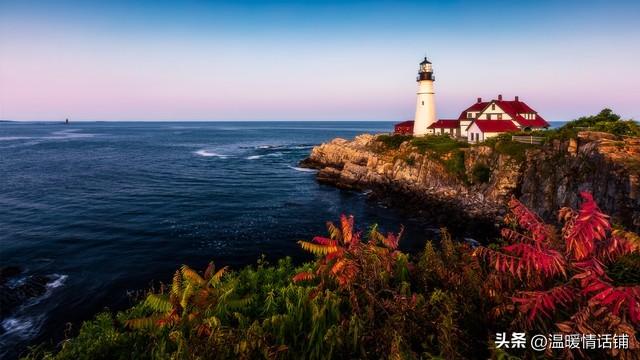 你不是忘不掉，只是还没学会这样放手！