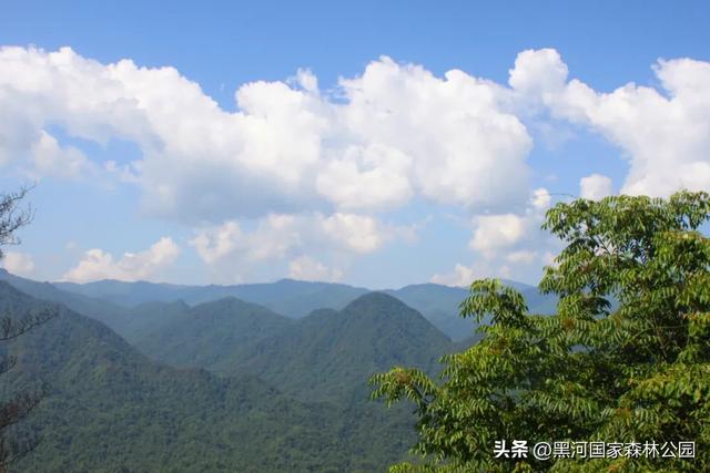 云端漫游，共赏黑河 | 提前解锁初秋的第一份美好