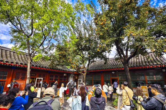 “丹柿小院”的柿子红了！来这里赴一场文学之约~