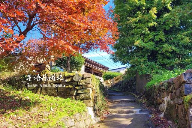 宁波四明山中鲜有人知的乡村，却被誉为中国红枫之乡，景色太迷人