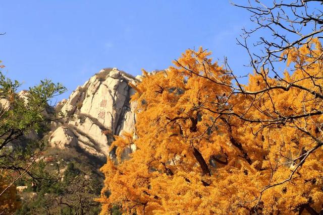 到海淀登高！期待日出、拥抱日落