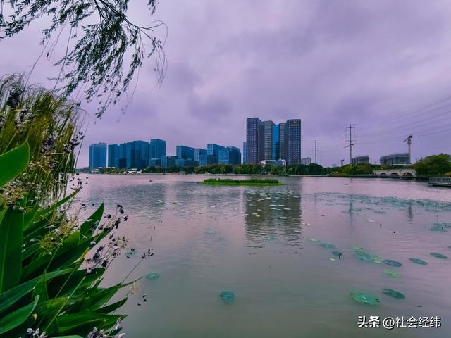 南京九龙湖：从淤积污染到 “水清鱼翔” 的生态蜕变