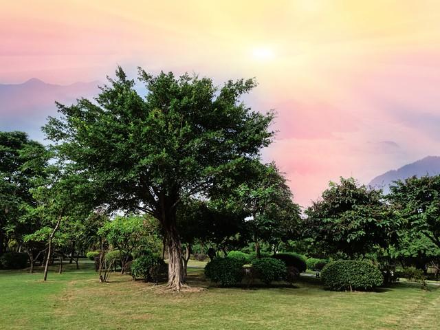 人到中年，最怕的不是失败，是忽然看清自己