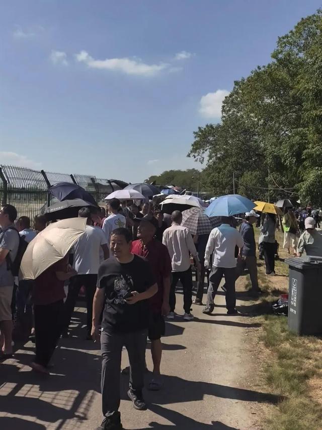钱塘江“一线潮”袭来引游客惊呼，河北男子专程带父亲到浙江观潮