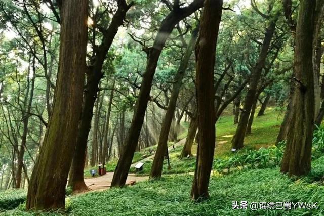 绵阳公路：普通公路服务区助力交旅融合发展