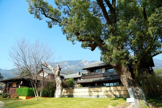 文旅项目看变化 全域旅游强信心：庐山景区联合党委开展“庐山市经济社会高质量发展‘看变化’活动”