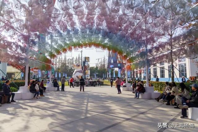 周末去哪儿玩？来杨浦这里“赶集”了