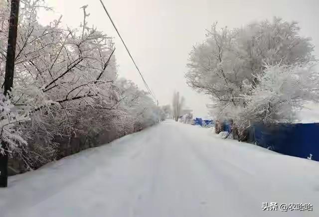 “上午立冬冻死牛，下午立冬暖烘烘”，今年立冬几点？有啥说法？