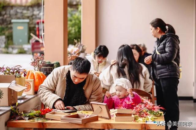 汶川县卧龙2025年彩林季系列活动正式启幕