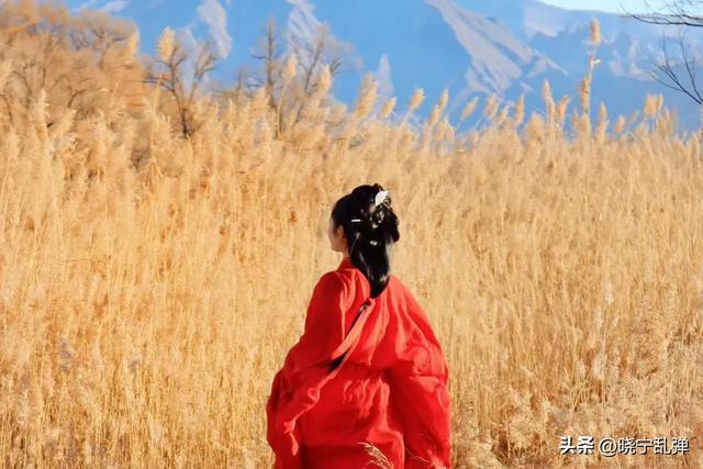 来大同避暑深度游 不妨去去乌龙峡