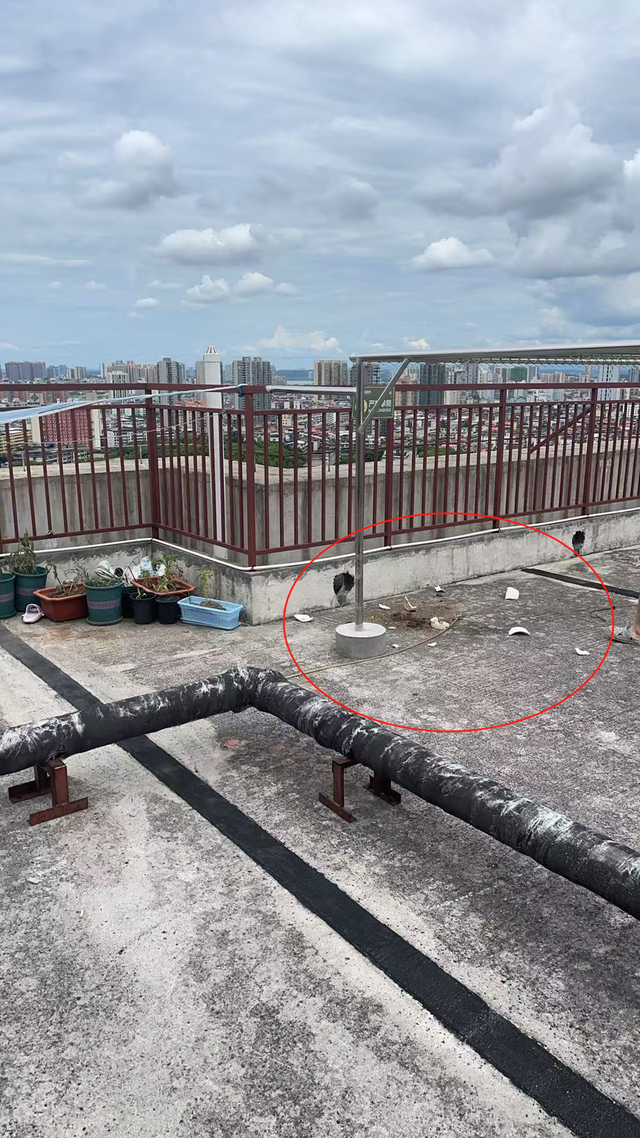 男子言语刺激后女友轻生 需担责吗