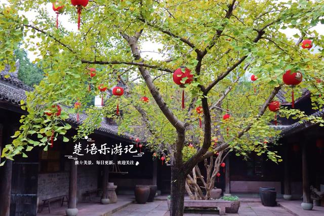 宁波这里的银杏已经变黄了，青砖黛瓦与之映衬，烟雨之中更有诗意