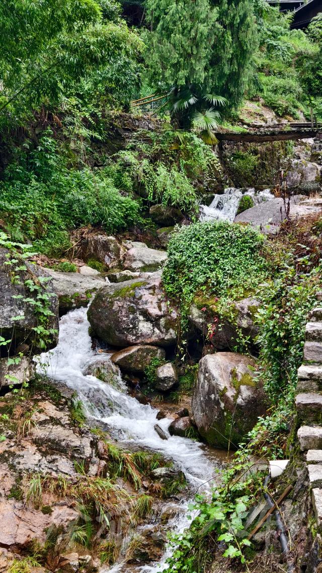 皖浙摩旅二人转——松阳横坑村篇（下）