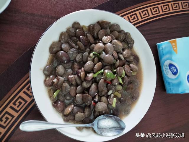张效雄 闲说湘菜155 桂东农家民宿品土菜