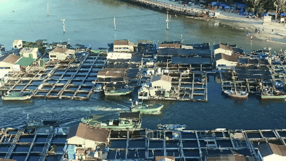 村游海南 | 海岛渔村、黎村苗寨 黄金周在海南慢~慢~玩~