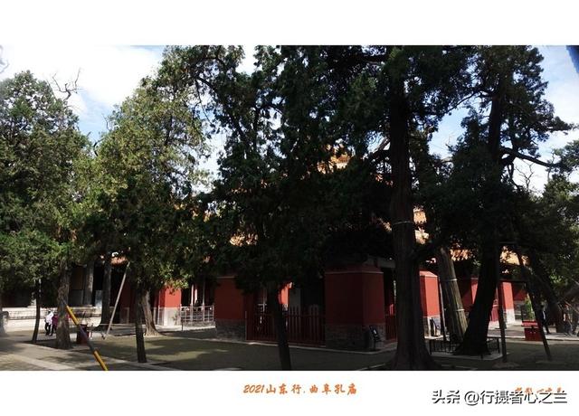 山东行游影记（212）—曲阜孔庙（七）