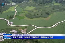 普安兴中镇：200亩茭白喜获丰收 俏销省内外市场图片