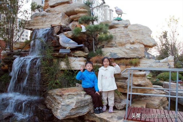 携老伴虹桥花园赏菊（下）