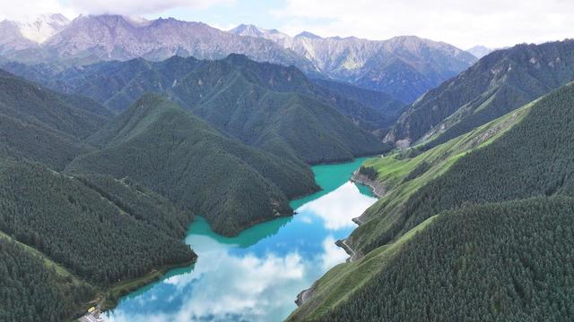 甘肃民乐：祁连山下林海苍翠茂密 湖水翠绿欲滴