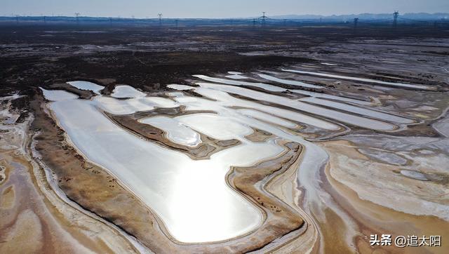 “大雪”时节的景泰盐沼湿地
