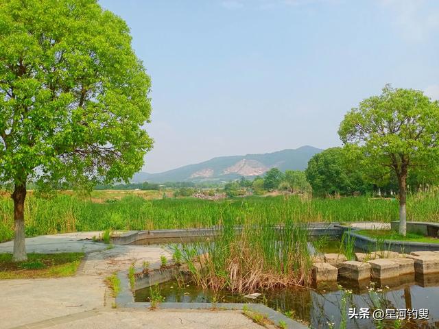 “三点一线”游汤山