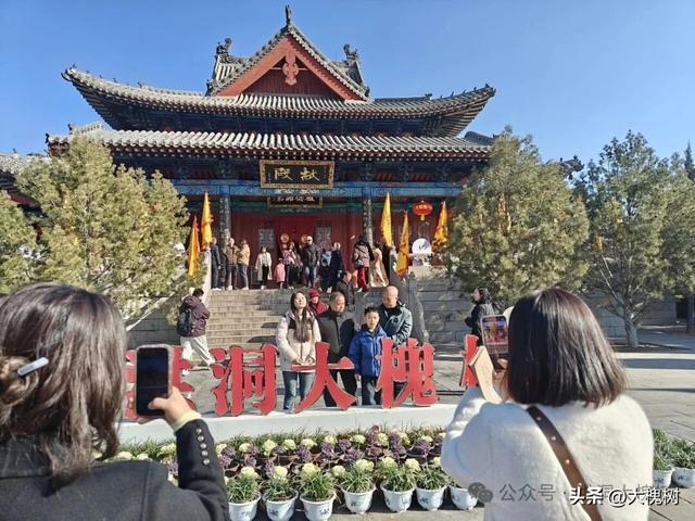 春节打卡洪洞大槐树景区 一站式拍照畅玩解锁新年好运