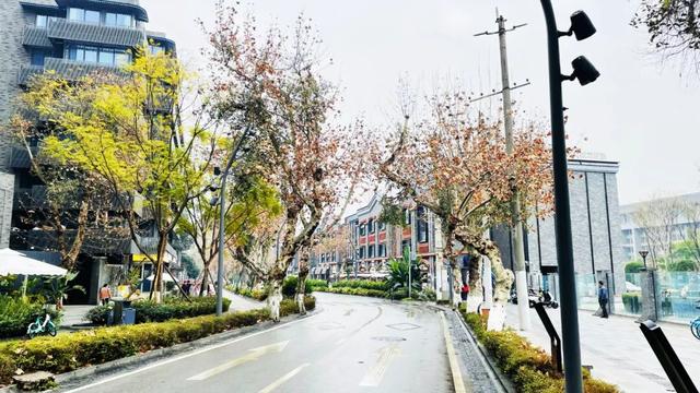 发现·公园城市 | 回家路上的露天“博物馆”