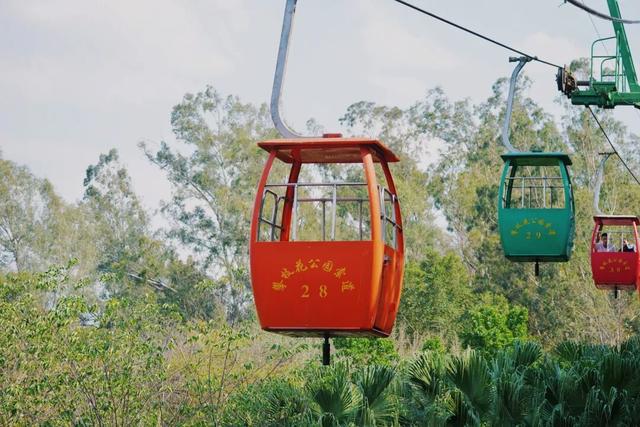 美疯了！高铁直达“四川小三亚”，花海开爆！草莓按盆吃，烧烤香迷糊！