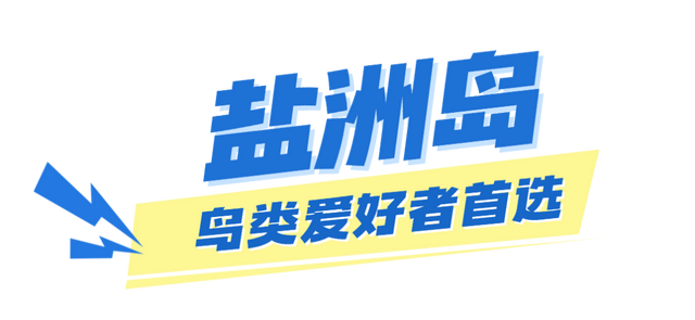 惠州进全球榜单！快来看看吧~