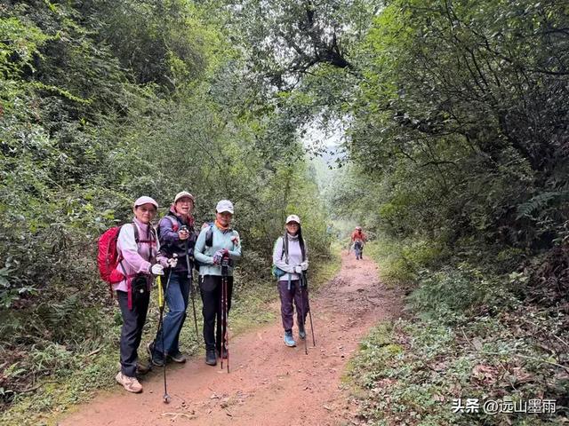 徒步武定香水箐，赏野草香飘、听溪流淙淙，徜徉绿水青山中，惬意