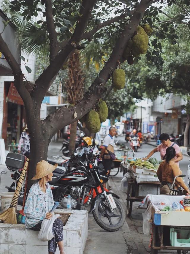 避寒旅居首选！这9座城均温20℃起，人少便宜，好吃好玩，推荐！