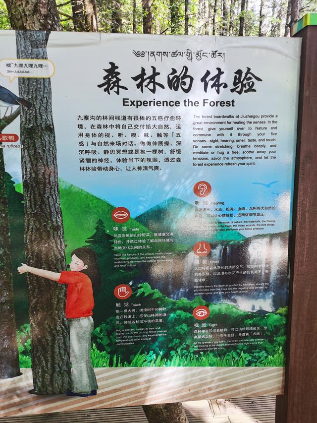 黄龙、九寨、都江堰随记Day3九寨归来不看水