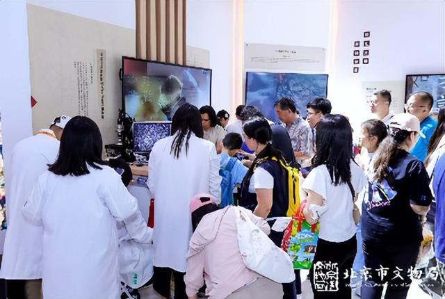 2025服贸会｜不舍再见，明年再会！服贸会文博展区5天解锁 “博物馆新玩法”：看、摸、带、玩一次体验全