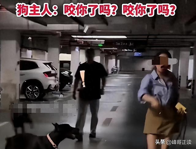 丹阳杜宾犬最新后续：网友不满处理依旧炸锅，养狗人终于登门道歉
