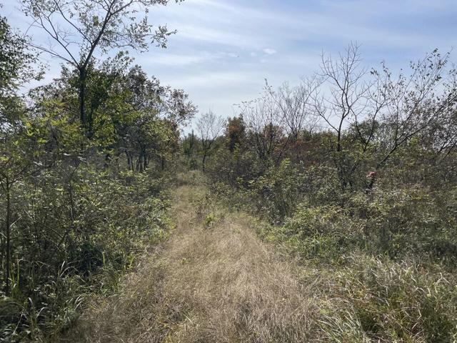 骑游探访滁州小蓝湖“蓝眼睛”白米山矿坑