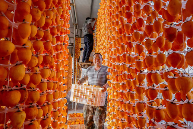 许昌周末漫游 | 把秋天装进篮子里：这份秋季采摘全攻略请收好！