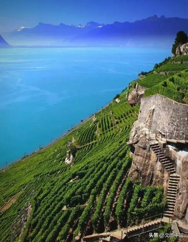 云端阆苑仙境,全球三大绝美梯田景观,个个世界文化遗产