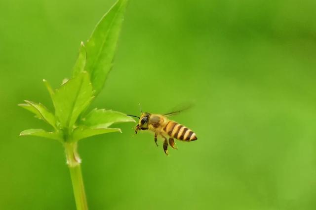 怀集的四季!带你回顾,带你深入