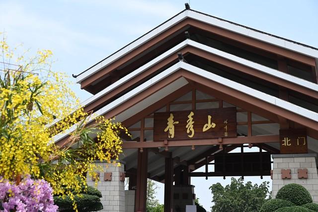 国内这5大城市名山，你去过几个？有你的家乡吗？