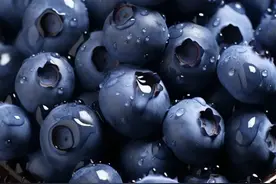 揭秘！世界公认的十大长寿食物，真相还是噱头？图片