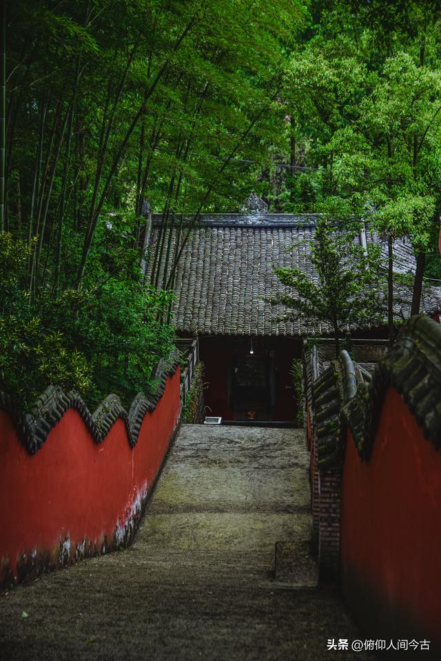 雅安被遗忘的省保，藏着深山中的千年守望