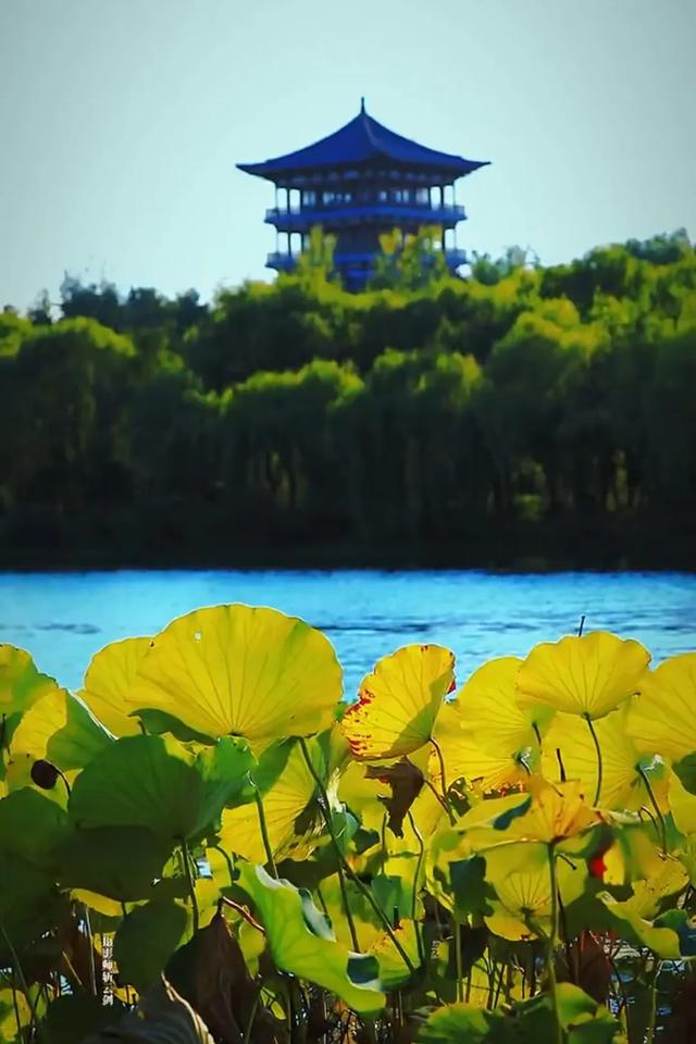 这7处坐游船可沉浸式赏秋的地方，你都体验了吗？