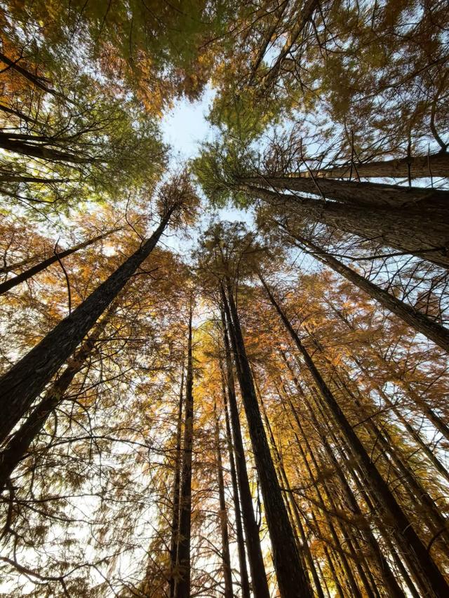 爱上徒步，需要理由吗？不需要吗？