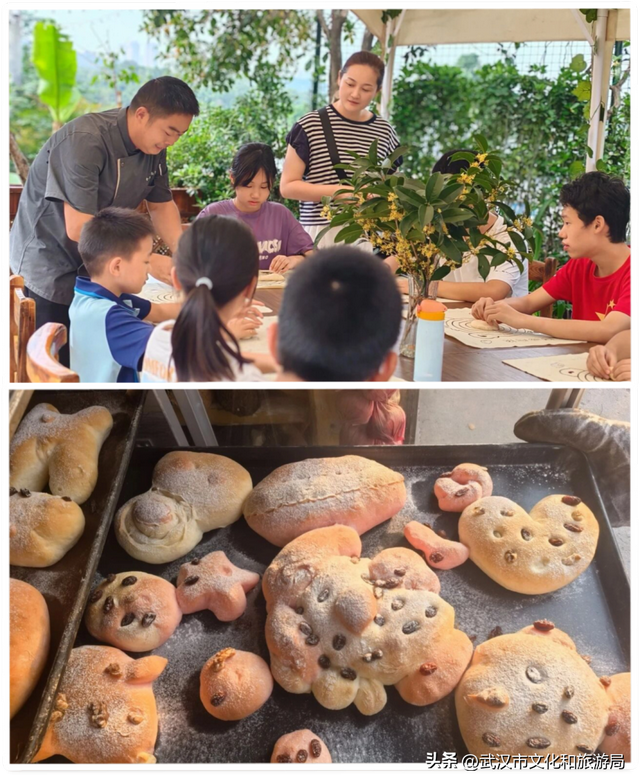 赶紧收藏！森林公园3大玩法新鲜出炉