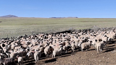 在措美遇见“意外”的美丽！