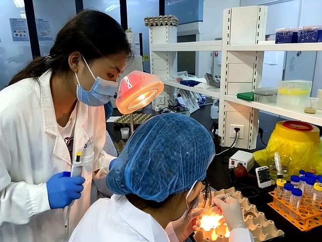 中科院研究6种豆类已被列入“致癌名单”，吃多了或会致癌