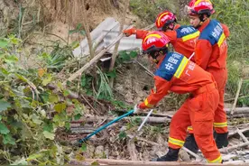 6条巨蟒藏身广西一废弃猪场！最重的"蛇王"近50斤！图片